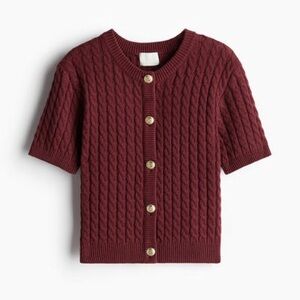 H&M Burgundy Cable Knit Button Down Shirt